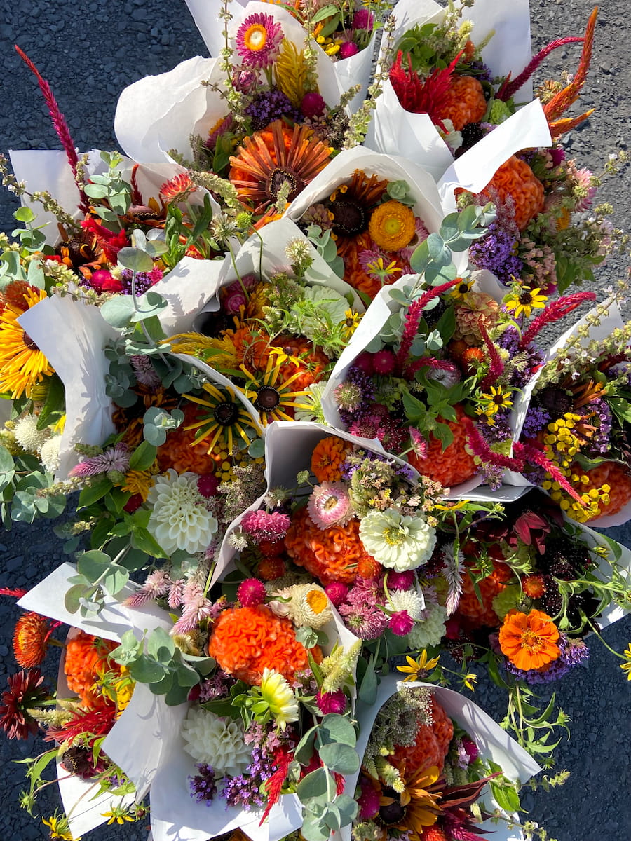 csa bouquets